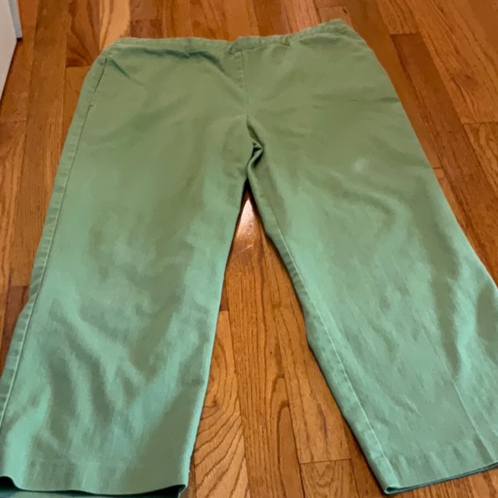 A,Fred Dunner~Wide Leg~Elastic Back 💚